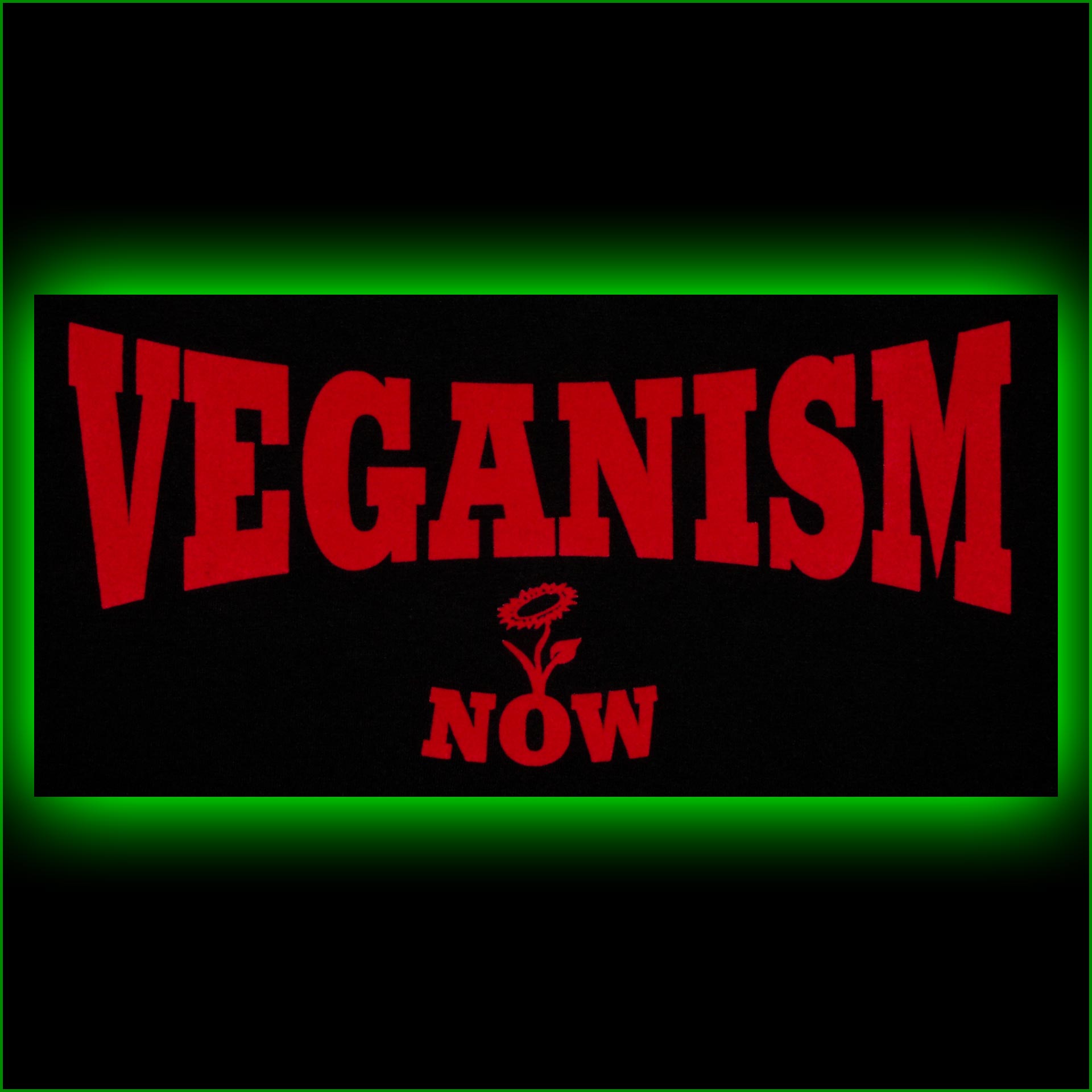 VEGANISM now - KaPu – Bild 3