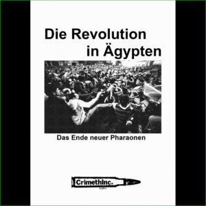 Die Revolution in Ägypten