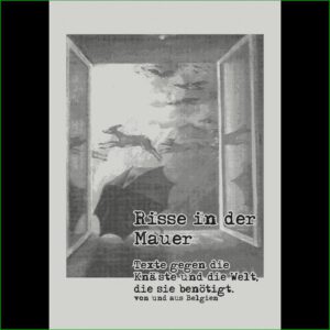 Risse in der Mauer