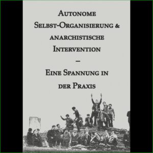 Selbst-Organisierung & anarchistische Intervention