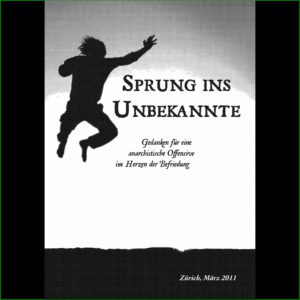 Spung ins Unbekannte